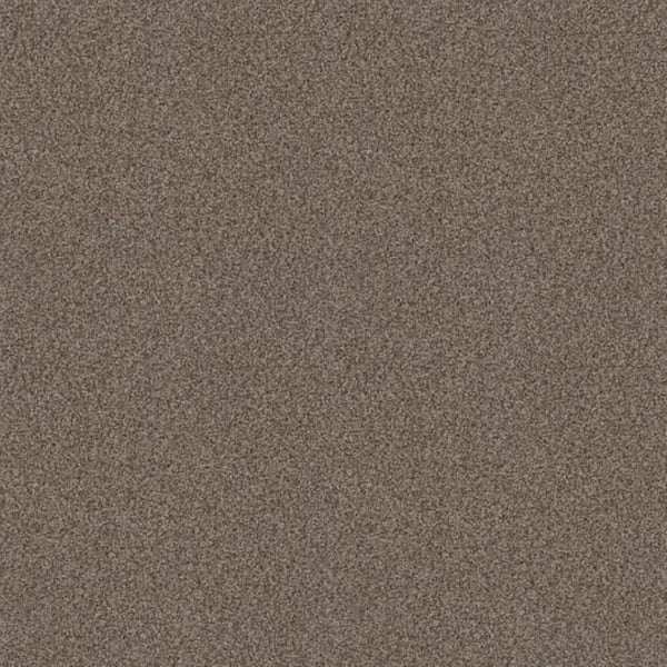 Lifeproof 8 in. x 8 in. Texture Carpet Sample - Urban Artifact I - Color Western Days