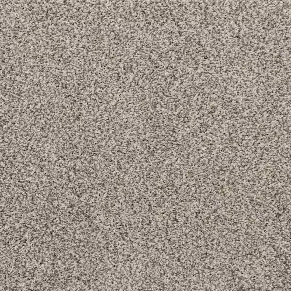8 in. x 8 in. Texture Carpet Sample-Magalynn II-Color Reflections price history on PriceWatchPro