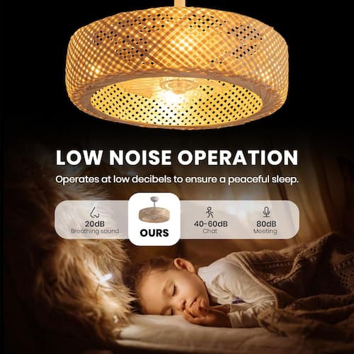 20 in. Indoor White Boho Caged Ceiling Fan with Lights and Remote Control, Low Profile Ceiling fan WDETR Ceiling Fans With Lights