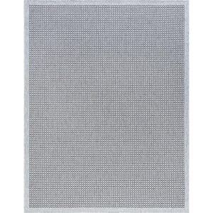 Tayse Rugs Denver Basketweave Blue 2 ft. x 3 ft. Indoor/Outdoor Area ...
