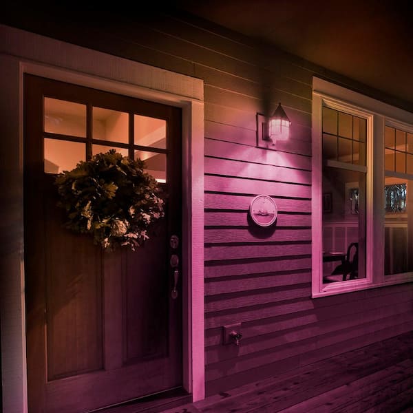 25-Watt Equivalent A19 Dimmable Filament Pink Colored Glass E26 Medium Base LED Light Bulb (6-Pack)