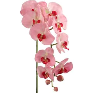 33.5" Pink Indoor/Outdoor Artificial Phalaenopsis Orchid Flowers, 2-Pack, Floral Home by Artificial Flowers