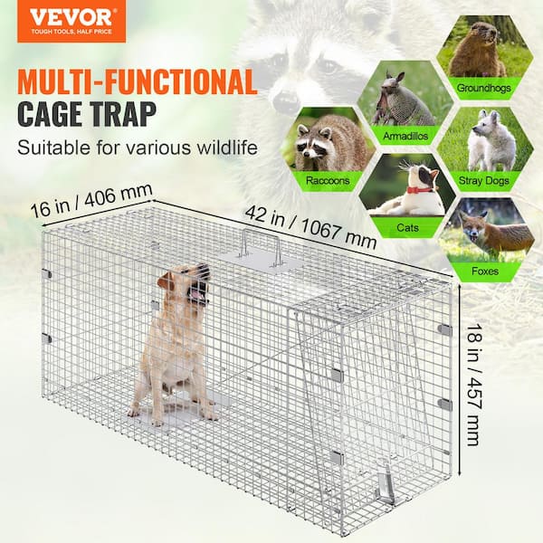 VEVOR Live Animal Cage Trap 42 in. x 16 in. x 18 in. Humane Cat Trap  Galvanized Iron Folding Animal Trap with Handle YBL42YC00000NH9IXV0 - The  Home Depot
