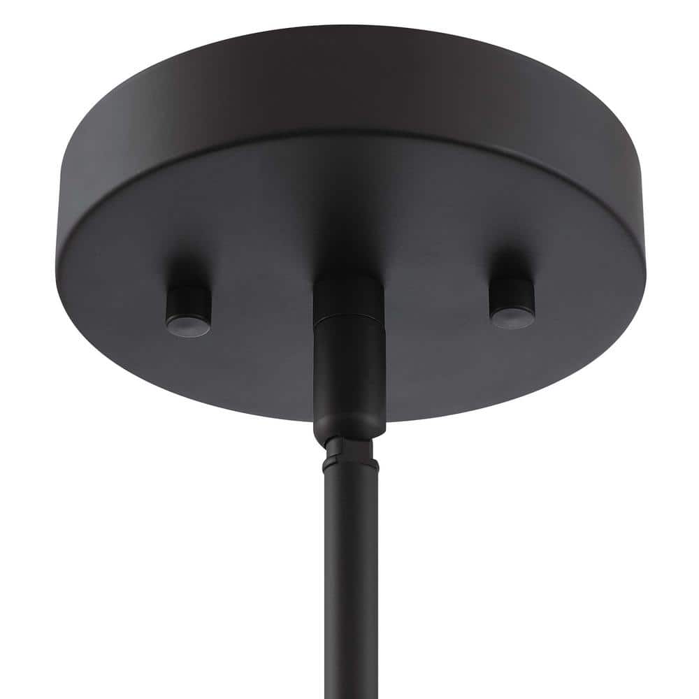 Matte Black 5-Light Chandelier with Seedy Glass Shades