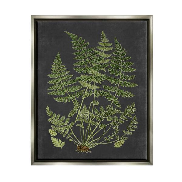 The Stupell Home Decor Collection Botanical Drawing Green Black Design ...