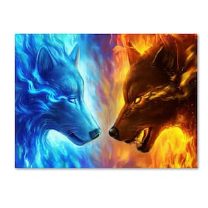 Fire and Ice by JoJoesArt Hidden Frame 14 in. x 19 in.