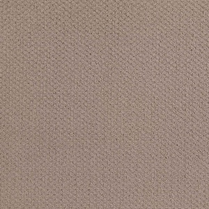 Bayburn  - Dragonfly - Gray 15 ft. 24 oz. Polyester Pattern Installed Carpet