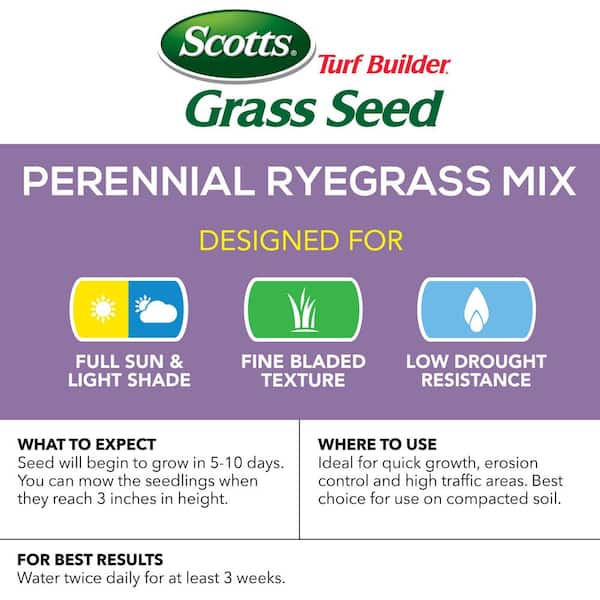 Scotts Turf Builder Perennial Ryegrass Sun or Shade Grass Seed 7 lb