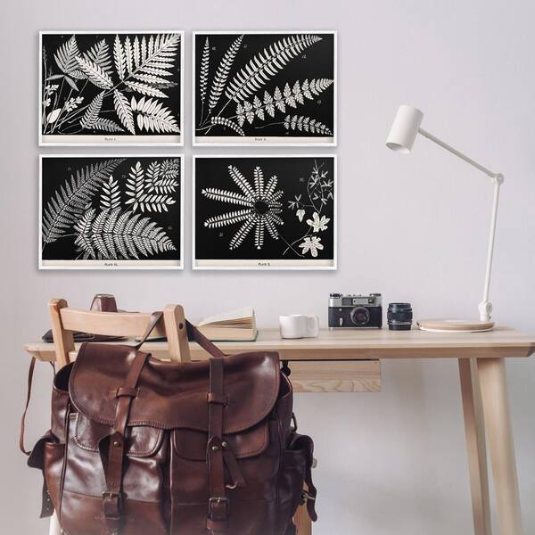 Ferns Studies with Stark Contrast by Phillipa Katz 4 Piece White Framed Nature Giclee Art Print 16 in. x 20 in.