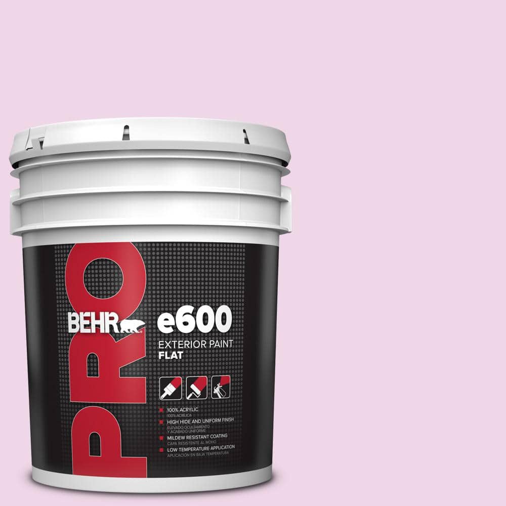 5 gal. #P110-1 All Made Up Flat Exterior Paint price history on PriceWatchPro