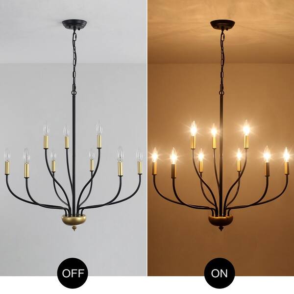 38灯 BOTANIZE OLDMOUNTAIN Black & GARA Hometown Evolution, Inc. Gold Outdoor Patio String Lights