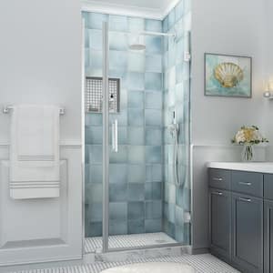 Belmore XL 30.25 - 31.25 in. W x 80 in. H Frameless Hinged Shower Door with Clear StarCast Glass in Stainless Steel