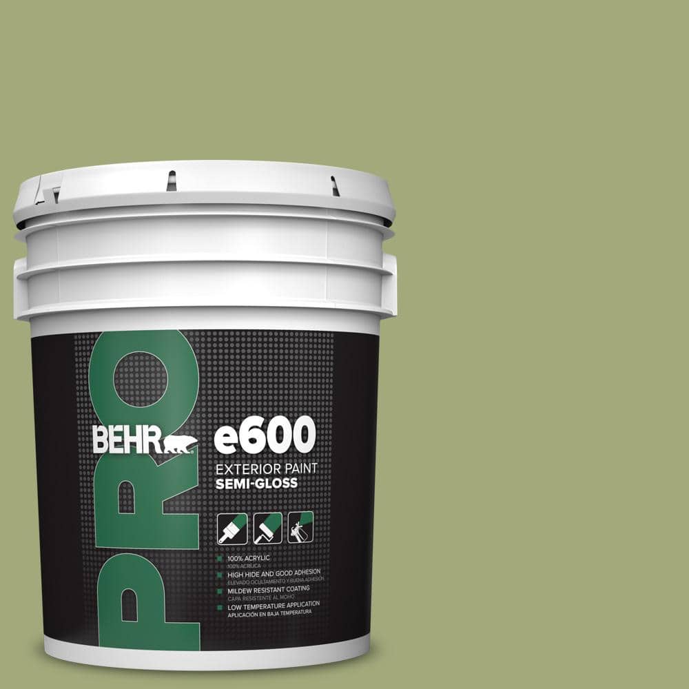 5 gal. #M350-5 Mossy Cavern Semi-Gloss Exterior Paint price history on PriceWatchPro
