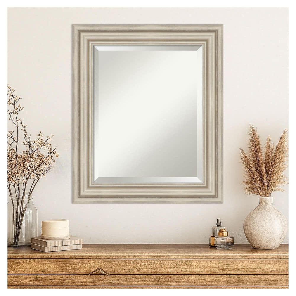 Sierra Silver 21.5 in. x 25.5 in. Beveled Modern Rectangle Wood Framed Wall Mirror price history on PriceWatchPro