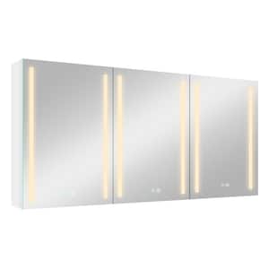 Moray 60 in. W x 30 in. H Rectangular Aluminum Surface Mount Medicine Cabinet with Mirror and LED Light in White
