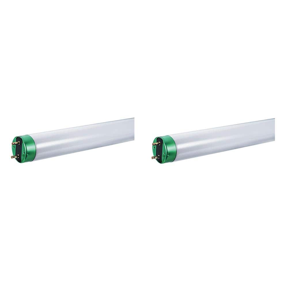 Alto 32-Watt 4 ft. Linear T8 Fluorescent Tube Light Bulb, Daylight (2-Pack)
