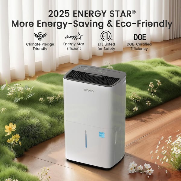 80 pt. 5,000 sq. ft. Energy Star Portable Dehumidifier with Bucket and Drain Hose for Bedroom, Basement in White
