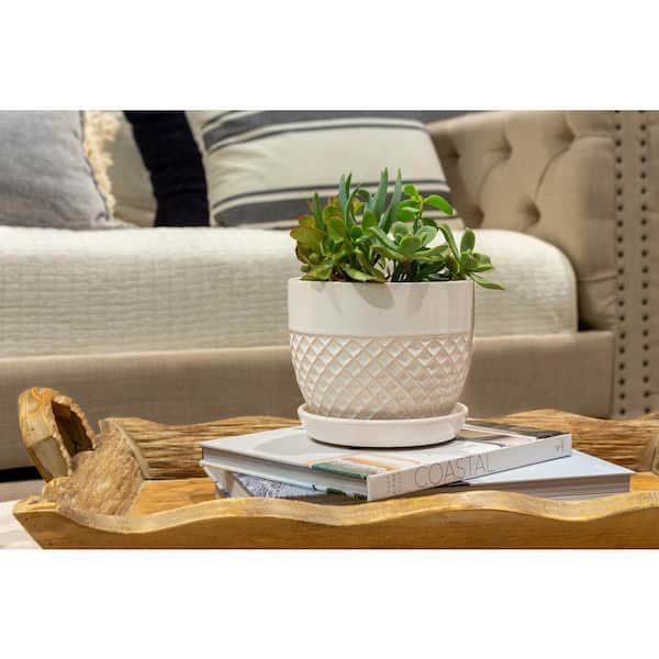 6 in. Delilah Small Glazed White Textured Ceramic Planter (6 in. D x 5 in. H) with Drainage Hole and Attached Saucer