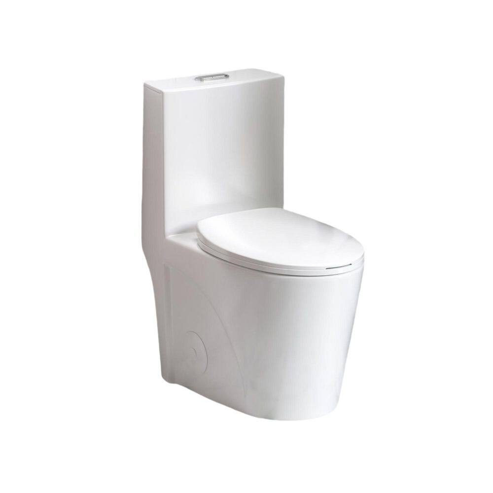 Dual Flush 1-Piece Toilet 1.1/1.6 GPF, 12 in. Elongated Bowl with Soft Clos