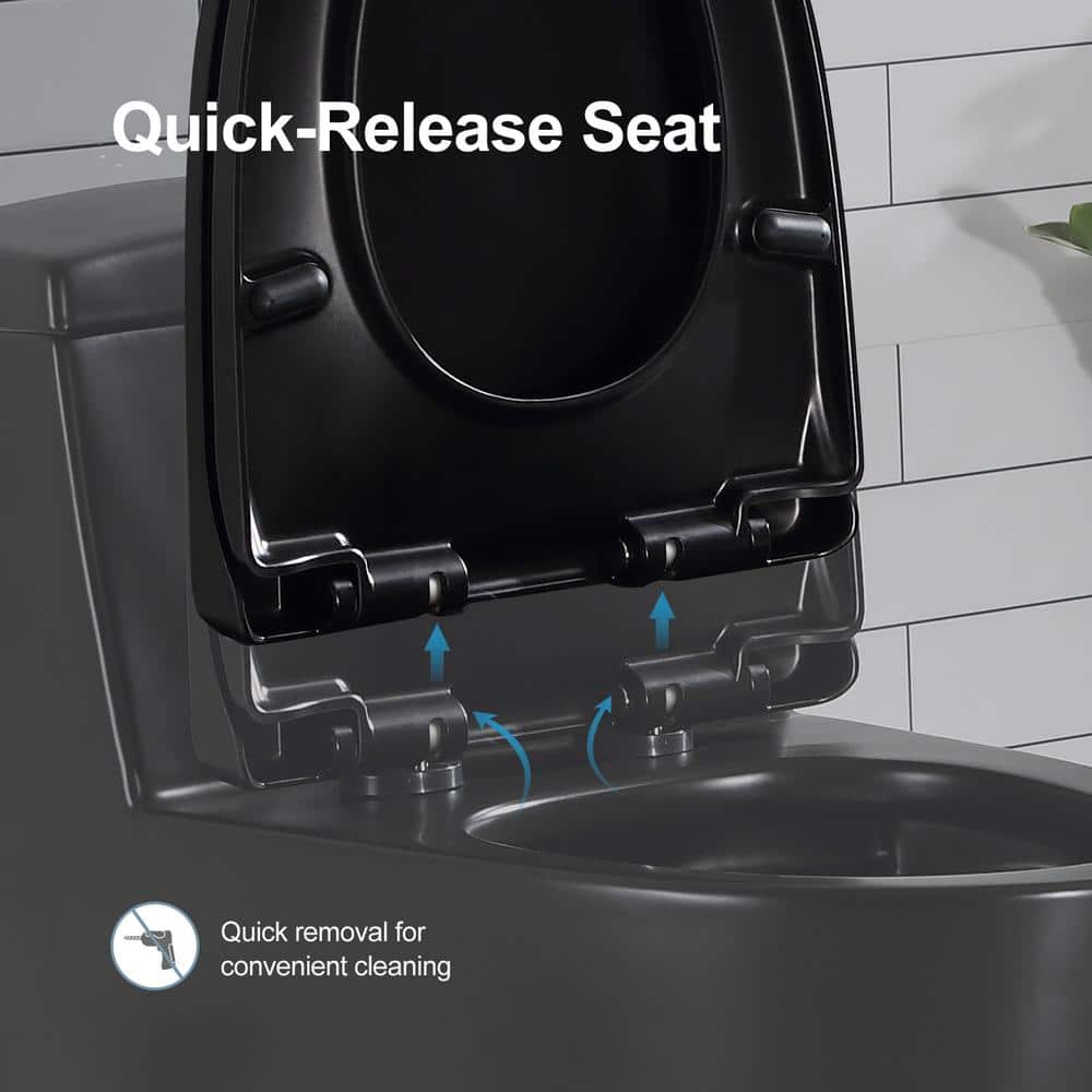 Matte Black Elongated Dual Flush High Efficiency Toilet