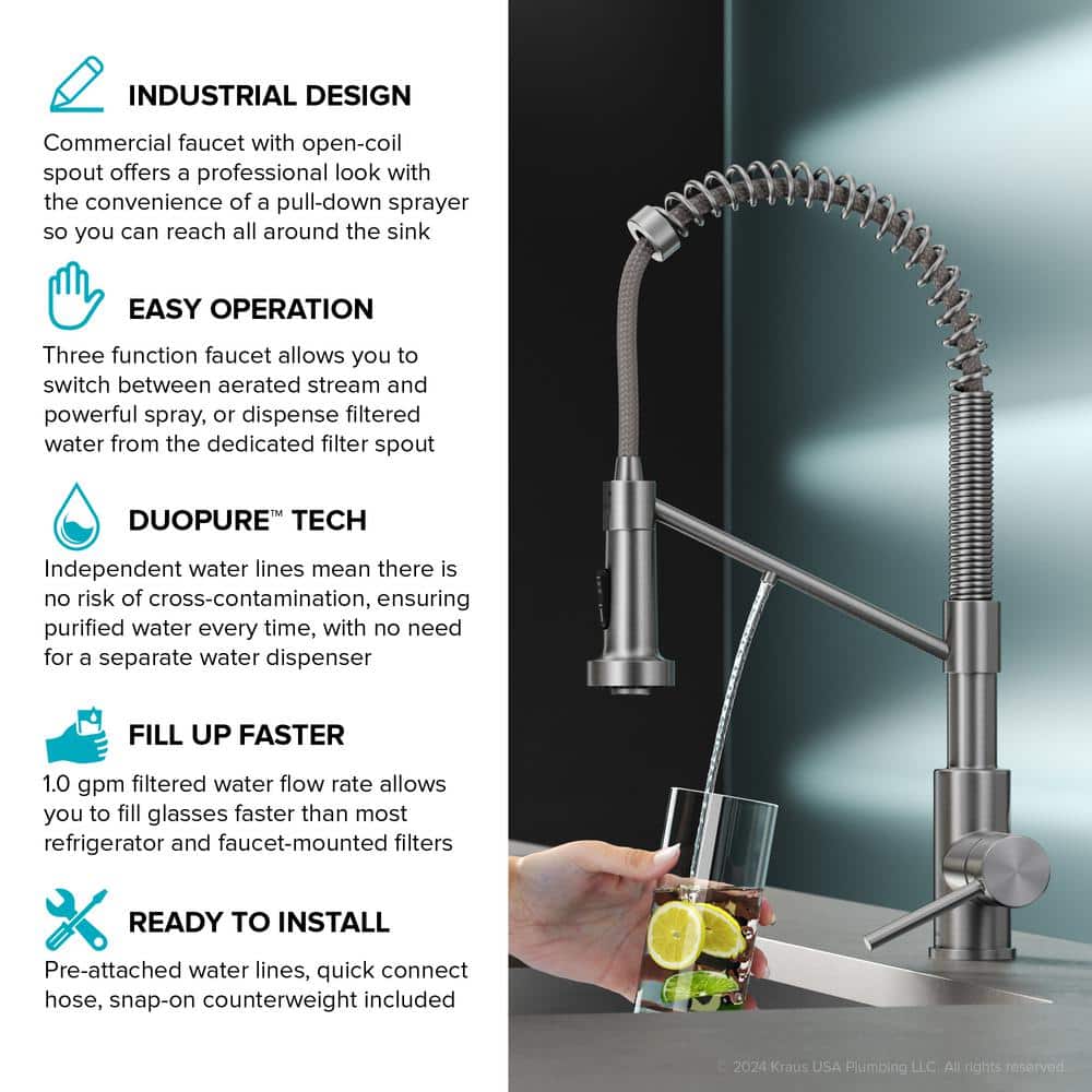 Matte Black 2-in-1 Pull-Down Kitchen Faucet with Water Filter