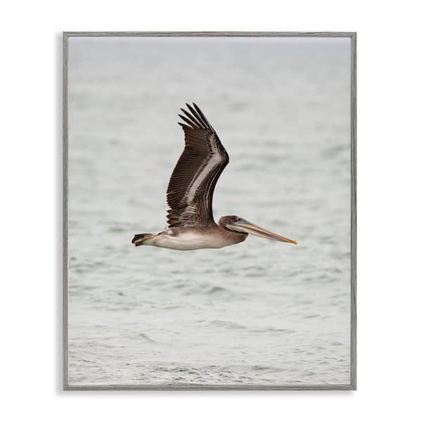Stupell Industries Pelican Over Sea by Crystal Lynn Collins Gray Framed Animal Giclee Art Print 14 in. x 11 in.
