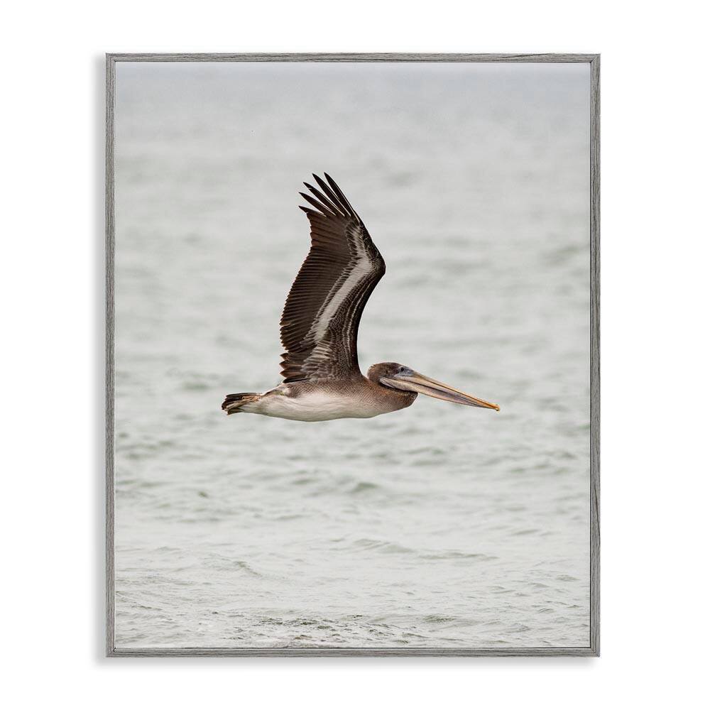 Pelican Over Sea by Crystal Lynn Collins Gray Framed Animal Giclee Art Print 20 in. x 16 in. price history on PriceWatchPro