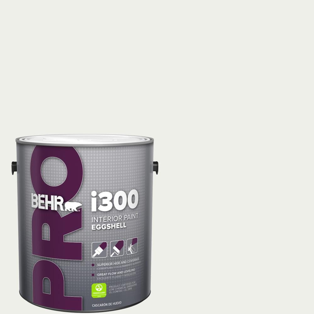 1 gal. Designer Collection #DC-004 Winter White Eggshell Interior Paint price history on PriceWatchPro