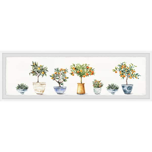 Unbranded "Container Gardening" by Parvez Taj Framed Nature Art Print 15 in. x 45 in.