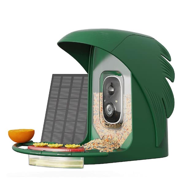 Forest Green Plastic Solar Powered AI-Recognition Smart Bird Feeder with Camera