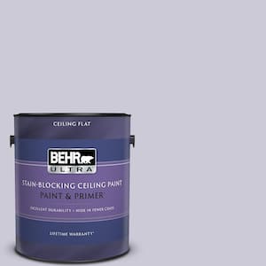 1 gal. #S570-2 Magic Scent Ceiling Flat Interior Paint and Primer