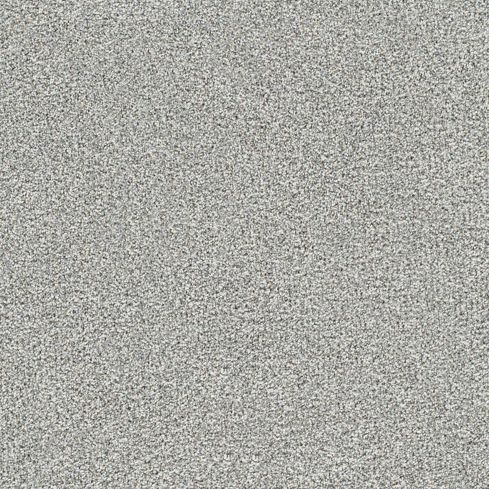 8 in. x 8 in. Texture Carpet Sample - Evermore I - Color Infinite price history on PriceWatchPro