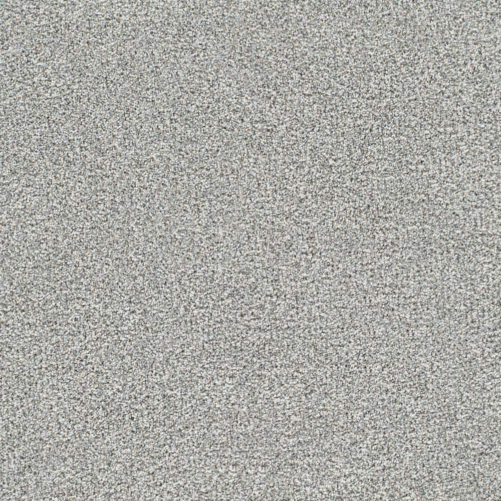 8 in. x 8 in. Texture Carpet Sample - Evermore II - Color Infinite price history on PriceWatchPro