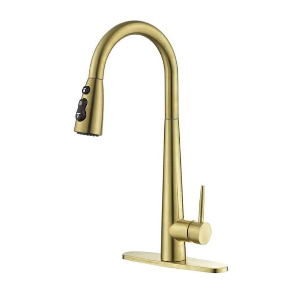 FLG Single Handle Pull Down Sprayer Kitchen Faucet with Advanced Spray Stainless Steel Kitchen Sink Faucets in Brushed Gold