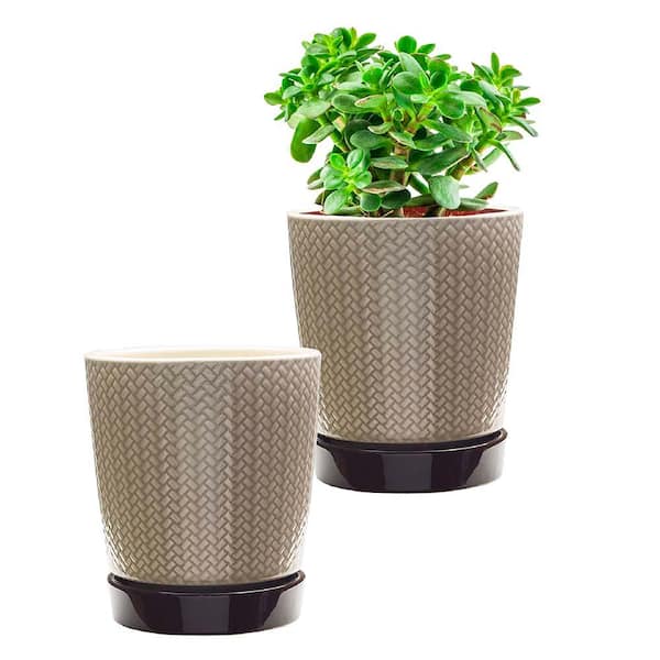 Southern Patio Alice 7.6 in. x 8.7 in. 4 Qt. Light Brown Ceramic Indoor Pot (2-Pack)