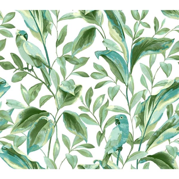 York Wallcoverings  sq. ft. Tropical Love Birds Wallpaper TC2654 - The  Home Depot