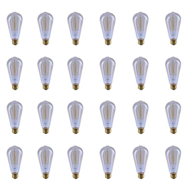 40-Watt ST19 Dimmable Cage Filament Amber Glass E26 Vintage Edison Incandescent Light Bulb, Warm White (24-Pack)