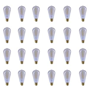 40-Watt ST19 Dimmable Cage Filament Amber Glass E26 Incandescent Vintage Edison Light Bulb, Warm White (24-Pack)