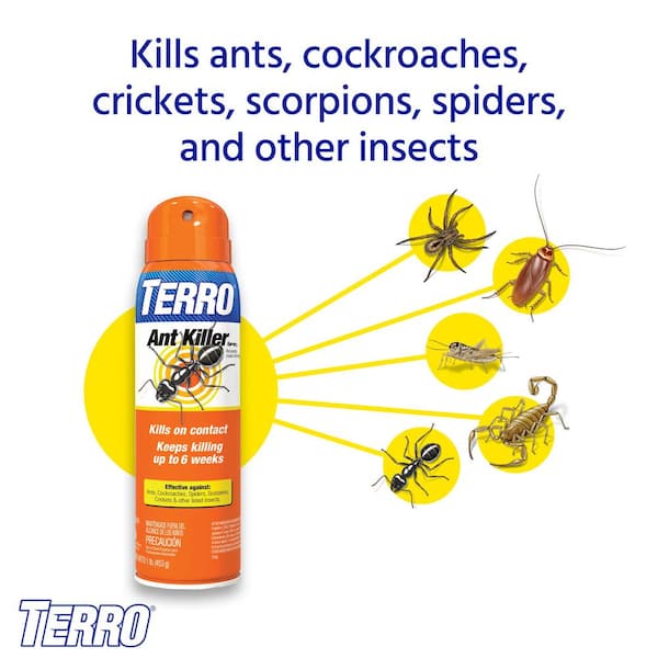 TERRO Spider Killer Aerosol Spray