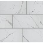 Carrara Matte Rectified 12 in. x 24 in. Porcelain Floor and Wall Tile (13.3 sq. ft. /case)