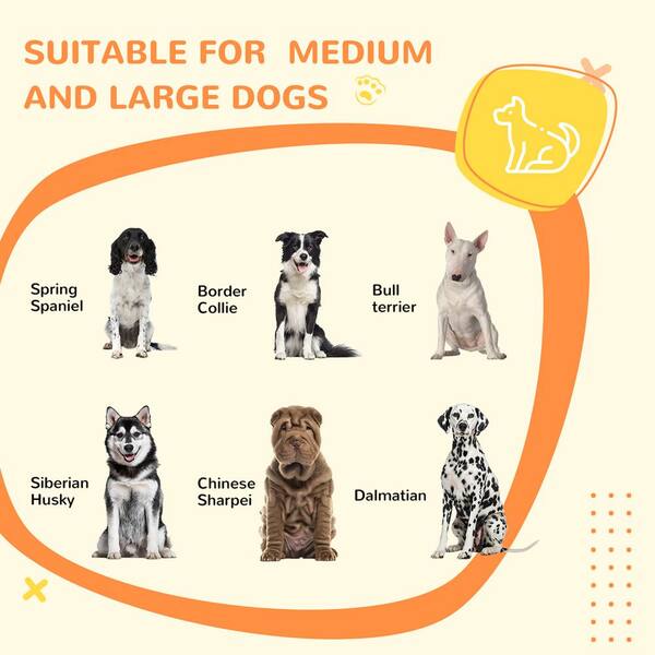 Dog Crate Size Guide How To Measure Your Dog For A Crate Daily Paws