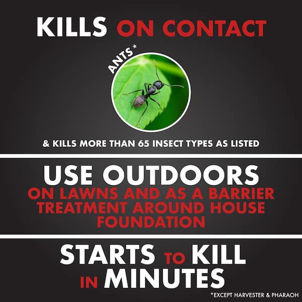 3 lb. Ant Shield Insect Killer Granules
