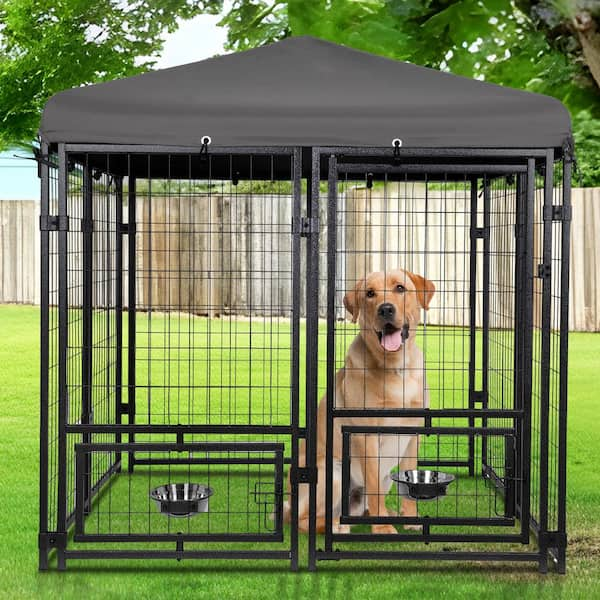 maocao hoom 4.5 ft. x 4.5 ft. x 4.8 ft. Heavy Duty Metal Dog Cage Outside Dog Enclosure with Lockable Door 2 Bowl Holders and Bowls CXY P190393 The Home Depot