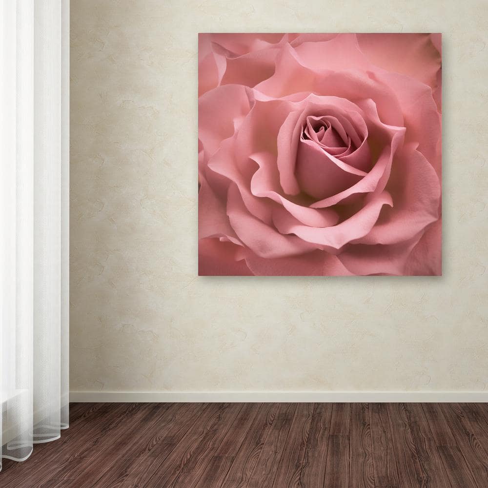Misty Rose Pink Floral Canvas Art with Multicolor Frame