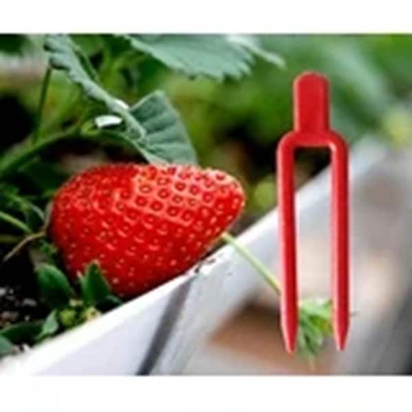 Mr. Garden Red Round Plastic Grafting Clips Stake Accessories For Fixing Plant Branches, (100-Pack)