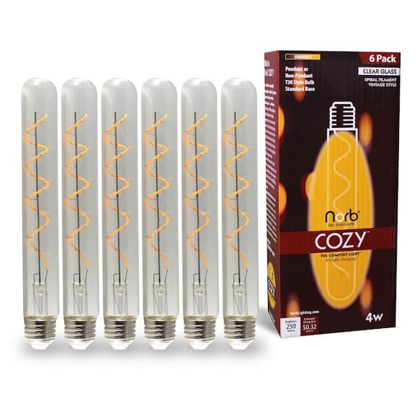 NorbCOZY 4W Equivalent T30 Warm White (Less Than 2700K) Dimmable Clear Spiral Edison LED Light Bulb (6-Pack)