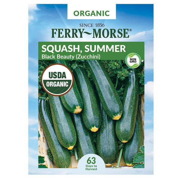 Organic Squash Black Beauty Zucchini Fruit Seed