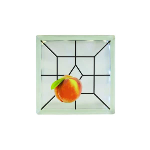 Pittsburgh Corning 8 in. x 8 in. x 4 in. Peach Art Glass Blocks
