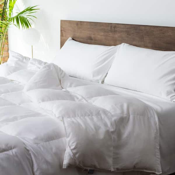 MOLECULE Year Round White Twin Down Alternative Comforter
