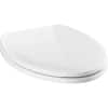 Delta Rubber Limited 803902-N-WH Sanborne Round Nightlight Toilet Seat with  Slow Close and Quick-Release, White 